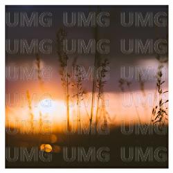 Evening Light - Akira Kosemura