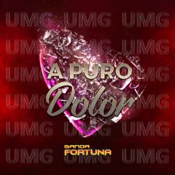 A Puro Dolor - Banda Fortuna