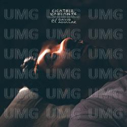 Cicatriz Radiante - El David Aguilar