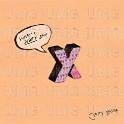 X&Y (What I Didn&rsquo;t Say) - Caity Baser