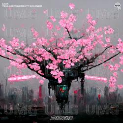 TELL ME WHERE - Lick, SOUNDR