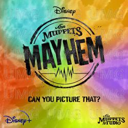 Can You Picture That? - Dr. Teeth and The Electric Mayhem