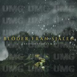 BL&Ouml;DER FR&Aring;N SJ&Auml;LEN - Sebastian Stakset, 23