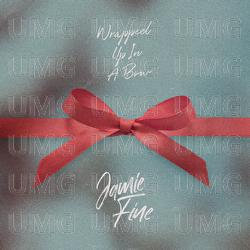 Wrapped Up In A Bow - Jamie Fine