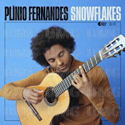 Snowflakes