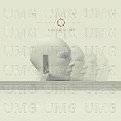 The Brain Dance - Animals As Leaders