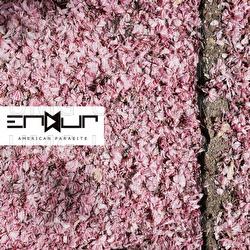 White Noise - Endur