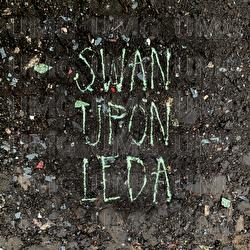 Swan Upon Leda