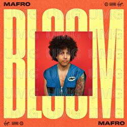 Bloom - Mafro