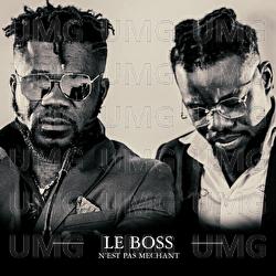 Le Boss n'est pas m&eacute;chant - VDA