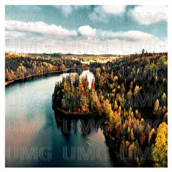 October - Egor Grushin