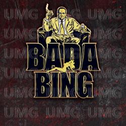 Bada Bing 2021 - ZL-Project