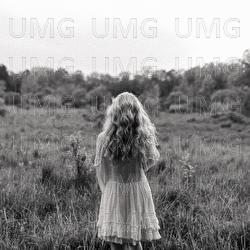 Chasing Fireflies - Roslyn Witter