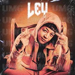 Embarque Imediato - Ley