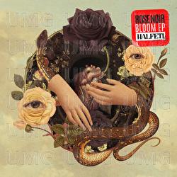 Bloom - Rose Noir