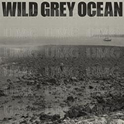Wild Grey Ocean - Sam Fender