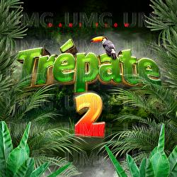 Tr&eacute;pate 2 - Dani Flow