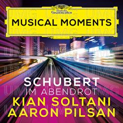 Schubert: Im Abendrot, D. 799 (Version for Cello and Piano) - Kian Soltani, Aaron Pilsan