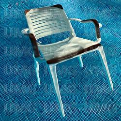 MADEIRA MADNESS - Longus Mongus, Monk, BHZ