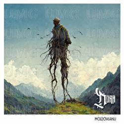 Moldoveanu - Dora Gaitanovici