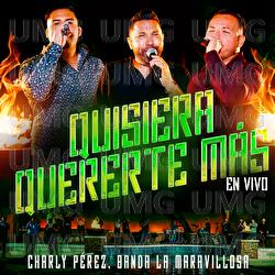 Quisiera Quererte M&aacute;s - Charly P&eacute;rez, Banda La Maravillosa