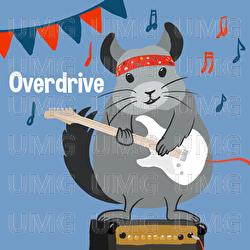 Overdrive - Eule