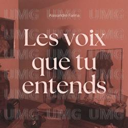 Les voix que tu entends - Alexandre Farina