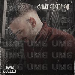 Shake It For Me - David Cuello