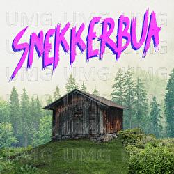 Snekkerbua - BEIST