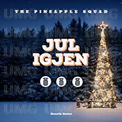 Jul Igjen - The Pineapple Squad, Henrik S&aelig;ter