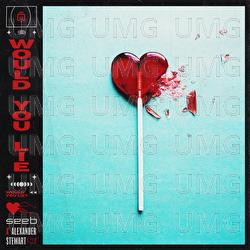 Would You Lie - Seeb, Alexander Stewart