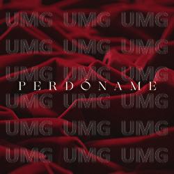 Perd&oacute;name - Fondo Flamenco