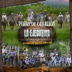 Puras De Caballos En Vivo Desde El Rancho - Banda La Ejecutiva De Mazatl&aacute;n Sinaloa