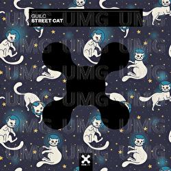 Street Cat - GUILC