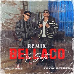 Tu Gato Bellaco - Milo Mae, Kevin Roldan