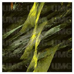 Miniature - Javi Lobe, Carlos Hof