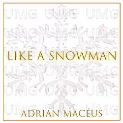 Like A Snowman - Adrian Mac&eacute;us