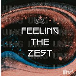 Feeling The Zest - emori&Ouml;