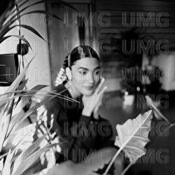 The Christmas Song - Olivia Dean