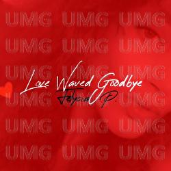 Love Waved Good Bye - Felycia Pendergrass