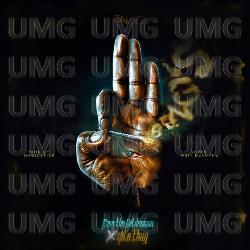 Beng's - Fang The Goldenman