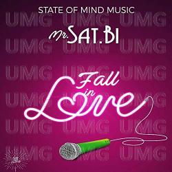 Fall In Love - Mr Sat-Bi