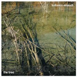 The Tree - Ludovico Einaudi