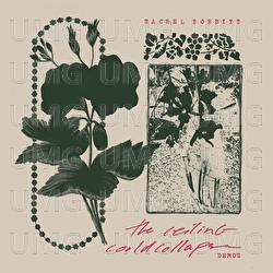 The Ceiling Demos - Rachel Bobbitt