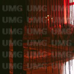 Aldri forn&oslash;yd - FLUS, Vinni, Tshawe