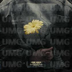 Fiore Giallo - Amsi
