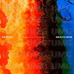 Br&auml;nn dom - Petrus