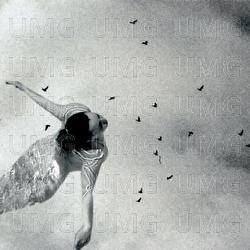 Las Bestias Que Me Acompa&ntilde;an - Andrea Santiago