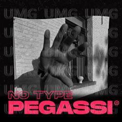 No Type - Pegassi