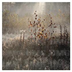 Renaissance - Jozef De Schutter